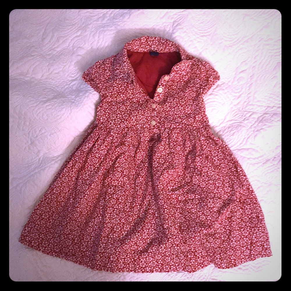 Baby Gap dress